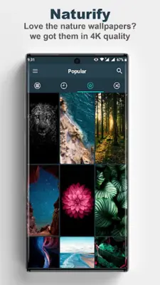 Naturify -HD Nature Wallpapers android App screenshot 8